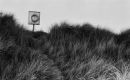 Lifebelt On Dune (England, 2012)