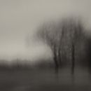 January Landscape (England, 2011)