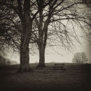 Silent Companions (England, 2011)