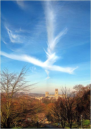 View from Grey College
