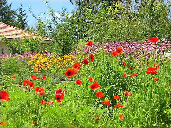 Tuscan Gardens