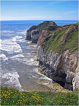 Flamborough Headland