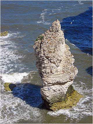 Sea Sculpture