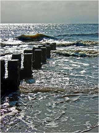 Out to sea