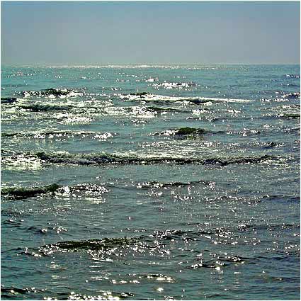 Out to sea