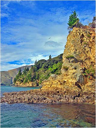 Havelock Sounds
