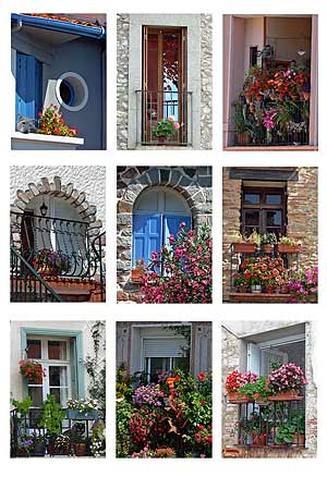 French Windows