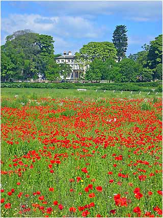 Sewerby Hall