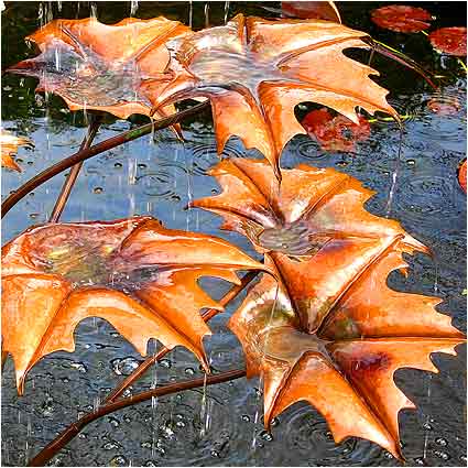Autumn Leaves