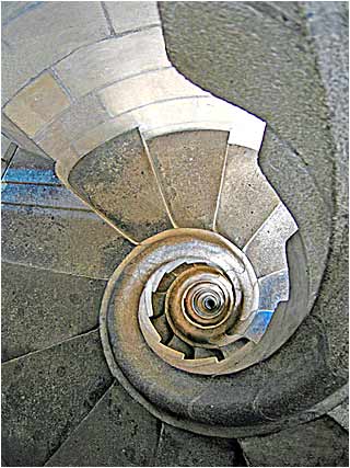 Ammonite Steps