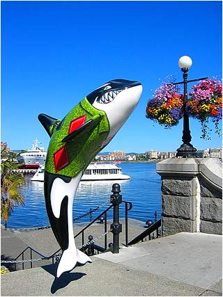 Orca