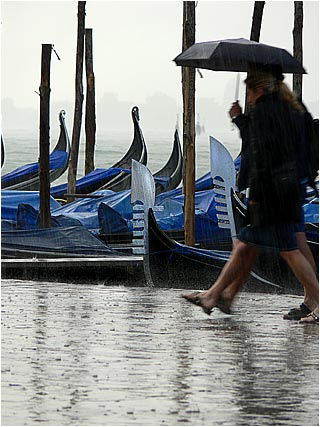 In the Rain