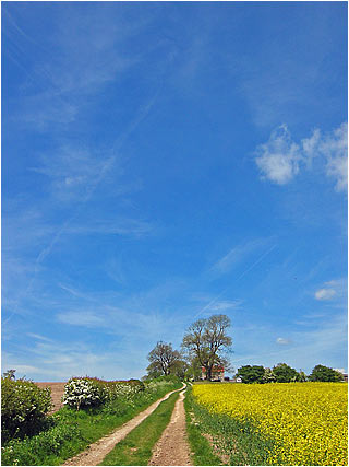 Roman Road