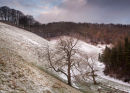 Dusting in Deep Dale