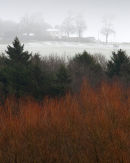 Snow Clouds