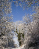 Snowfall