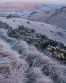 Dawn Light & Frost