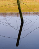 Wire Art