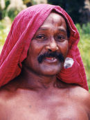 Fijian