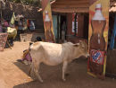Anguna 2 Goa