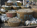 Fish Market Goa