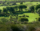 Ireland
