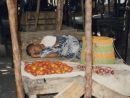Lamu