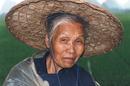 Old Lady China