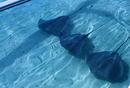 Stingrays, Bora Bora, Tahiti