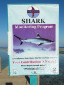 Sharm El Sheik