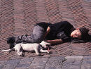 Siesta