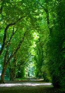 Ireland