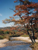 Virginia USA