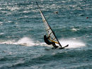 Windsurfer
