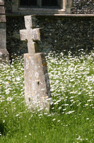Pushing up daisies!