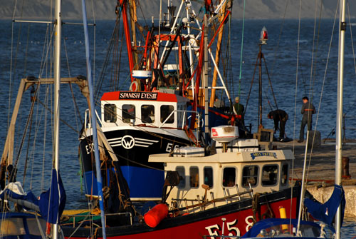 Fishing boats, Lyme Regis harbour