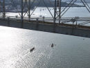 0539 Three Rivers 2010