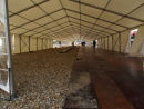 IMG 1498 Fossil Festival 2011