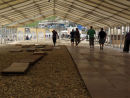 IMG 1499 Fossil Festival 2011