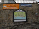 IMG 1500 Fossil Festival 2011