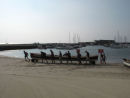 IMG 4533