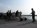 IMG 4537