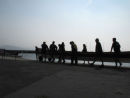 IMG 4546