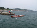 IMG 4590