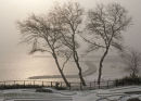 Harbour in the snow 3. February 2009.