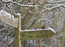 Timber Hill signpost, Lyme Regis
