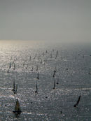 Sailing regatta on a sunlit sea