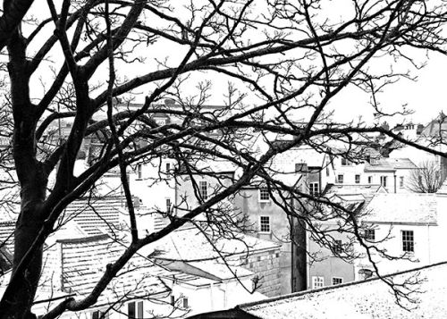 Roofs in the snow, Lyme Regis
