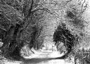 Snowy day at Timber Hill, Lyme Regis. March 2009.