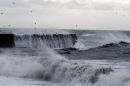 Winter storm-03274
